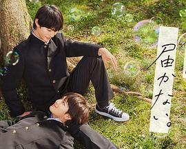 南京seo优化公司地址